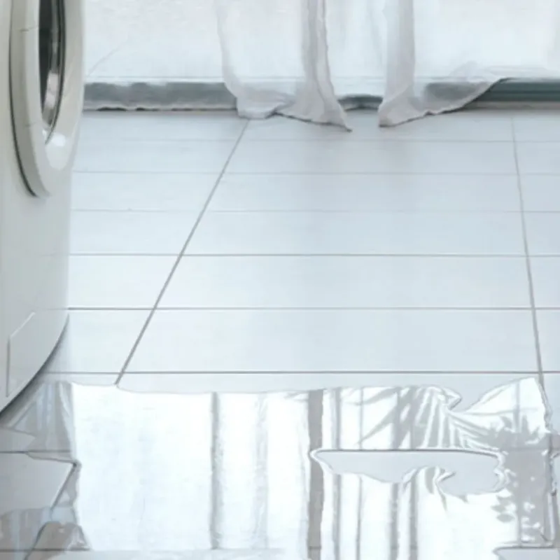 Appliance Leak Cleanup in Carthage, IL