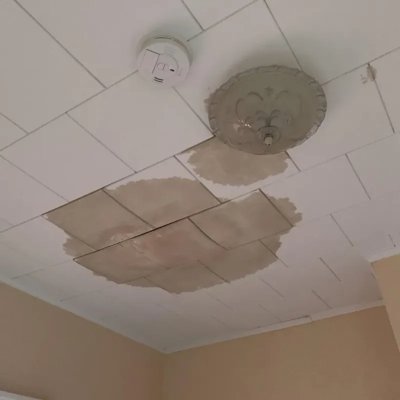 Ceiling Water Damage Repair in Carthage, IL