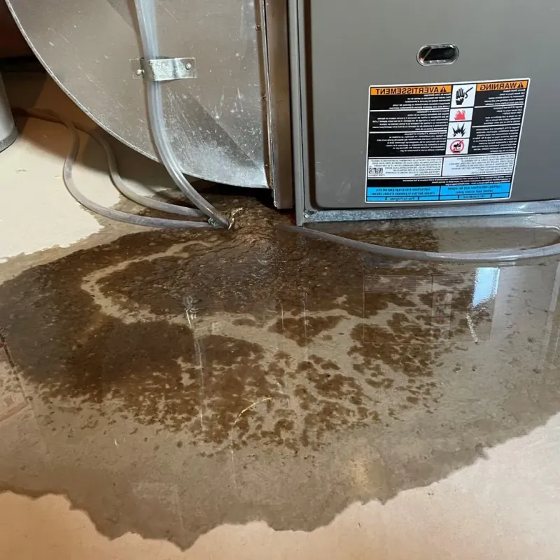 Pipe Burst and Leak Restoration in Carthage, IL