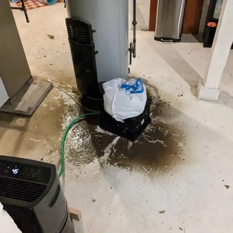Sewage Backup Cleanup Service in Carthage, IL